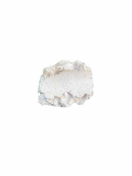 Muschelhalter