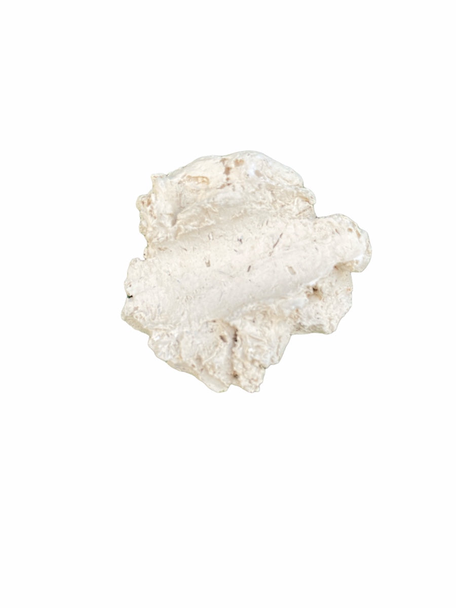 Muschelhalter