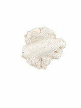 Muschelhalter